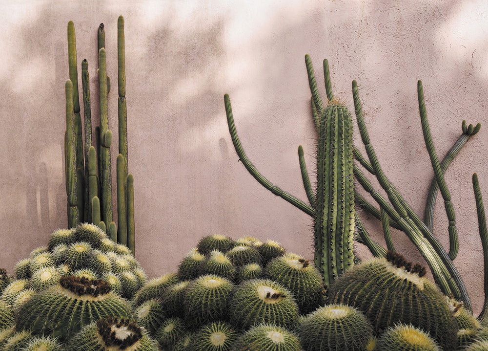 PLANTS ON PINK