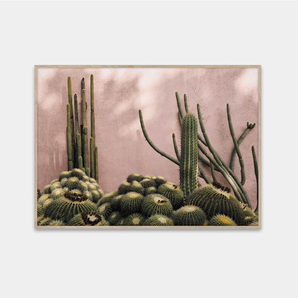 PLANTS ON PINK